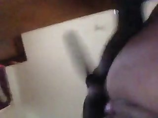 Huge Cock Animal Porn