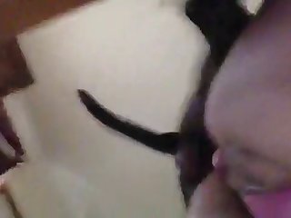 Huge Cock Animal Porn