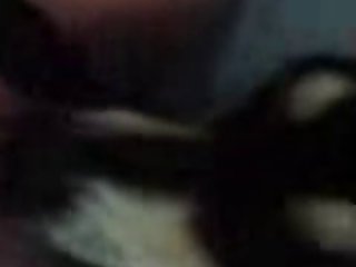 Taboo Animal Porn Gif