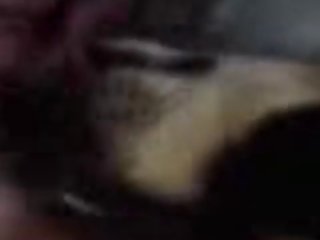 Taboo Animal Porn Gif