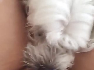 Animal Plug Porn