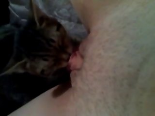 Porn Animal Suck Dick