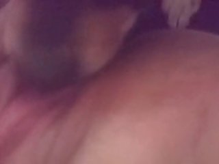 Animal Human Sex Porn