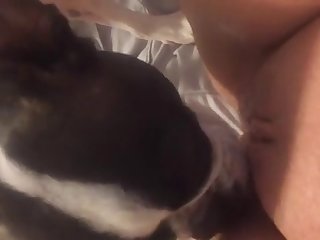 Shemale With Animal Porn