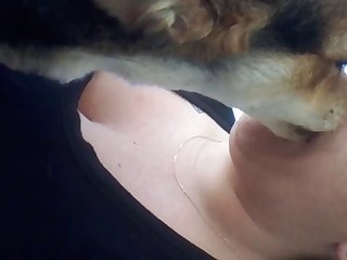 Animal Porn Storys