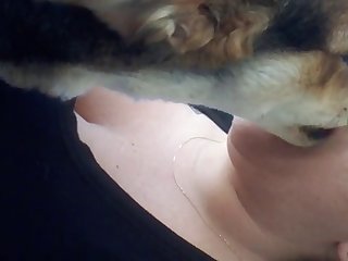 Animal Porn Storys