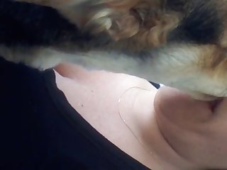 Animal Porn Storys
