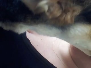 Animal Porn Storys