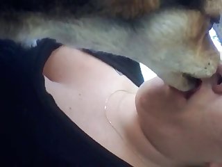 Animal Porn Storys