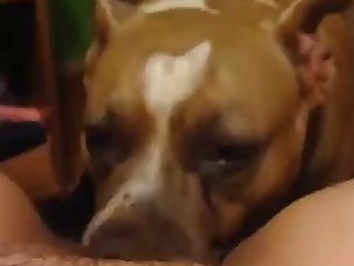 Bbc Fuck Animal Porn