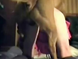 Animal Crossing Poop Porn