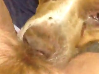 Bbc Fuck Animal Porn