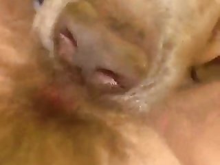 Bbc Fuck Animal Porn