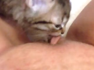Fapzoo Animal Porn