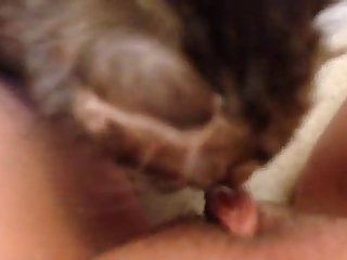 Fapzoo Animal Porn