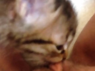 Fapzoo Animal Porn