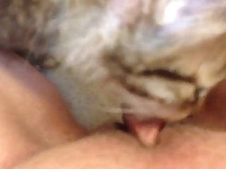 Fapzoo Animal Porn