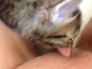 Fapzoo Animal Porn