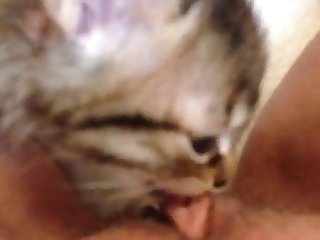 Fapzoo Animal Porn