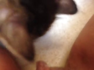 Fapzoo Animal Porn