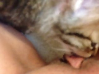 Fapzoo Animal Porn