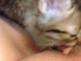 Fapzoo Animal Porn