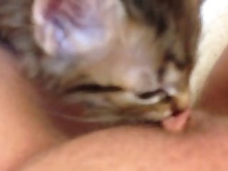 Fapzoo Animal Porn