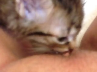 Fapzoo Animal Porn