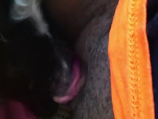 Animal Porn Animal Porn
