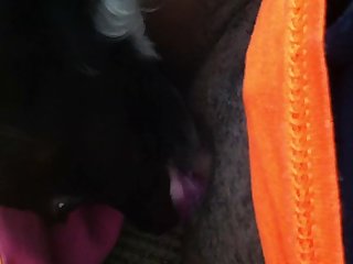 Animal Porn Animal Porn