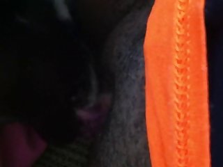 Animal Porn Animal Porn