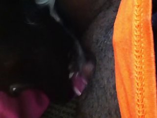 Animal Porn Animal Porn