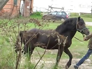 Latina Zoo Tube