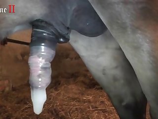 American Zoophilia Porn