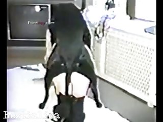 Zoo Tube Vip