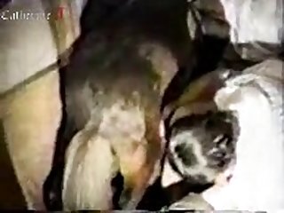 Zoophilia Porn Horse Cum