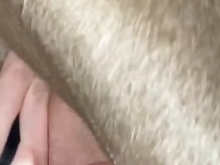 Zoophilia Porn Xnxx