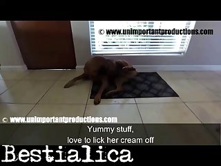 Zoophilia Porn Octopus