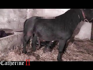 Jav Zoophilia Porn