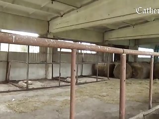 Zoophilia Porn Captions