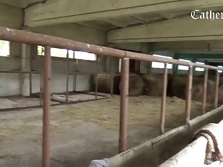 Zoophilia Porn Captions