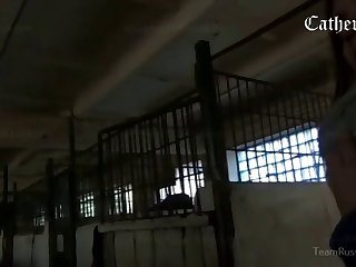 Zoophilia Porn Captions