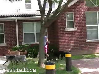 Desi Zoophilia Porn