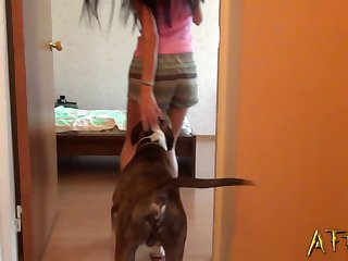 Que Es Zoofilia Sesso