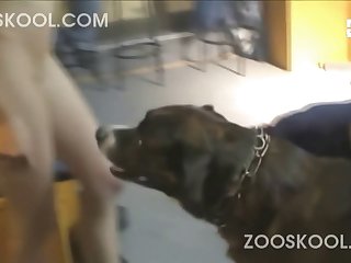 Zoofilia Com Cavalo Gozando
