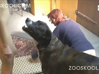 Zoofilia Com Cavalo Gozando