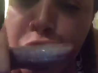 Porno Zoofilia Gatos