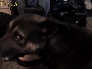 Zoofilia Creampie Anal