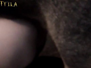 Zoofilia Creampie Anal