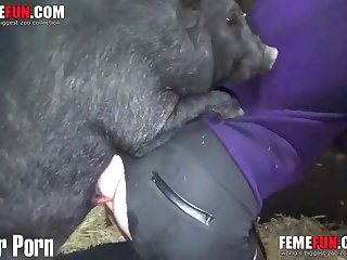 Zoofilia Pagina